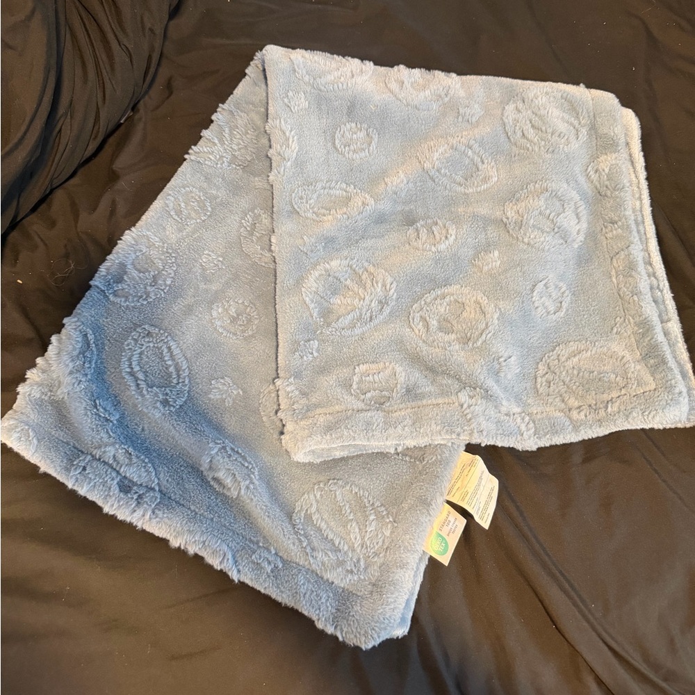 Cozy Blue Sports Fleece Blanket